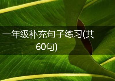 一年级补充句子练习(共60句)
