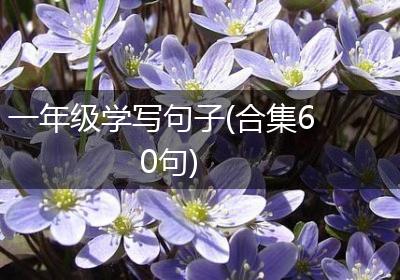 一年级学写句子(合集60句)