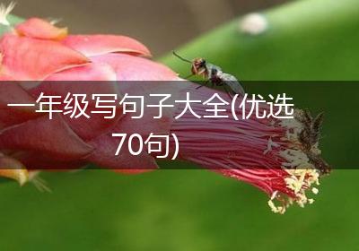 一年级写句子大全(优选70句)