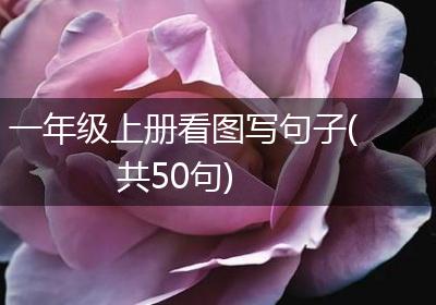 一年级上册看图写句子(共50句)