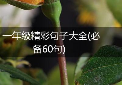 一年级精彩句子大全(必备60句)