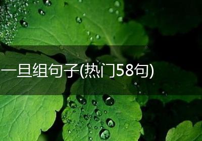一旦组句子(热门58句)