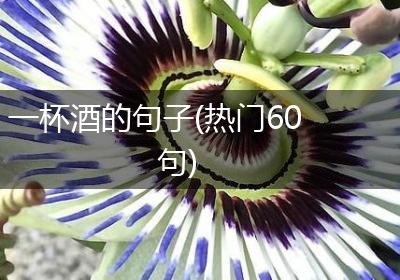 一杯酒的句子(热门60句)