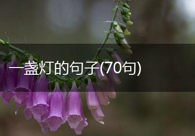 一盏灯的句子(70句)