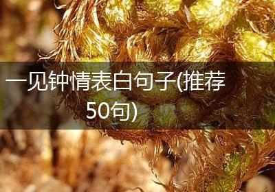 一见钟情表白句子(推荐50句)