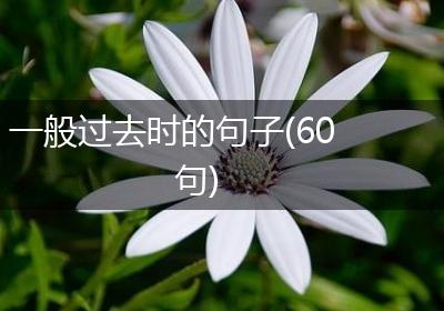 一般过去时的句子(60句)