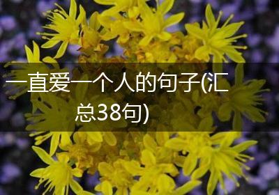 一直爱一个人的句子(汇总38句)