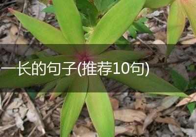 一长的句子(推荐10句)
