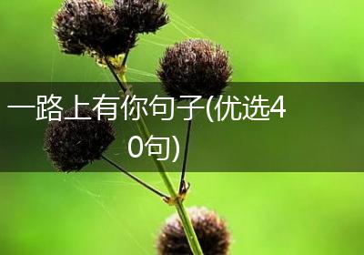一路上有你句子(优选40句)