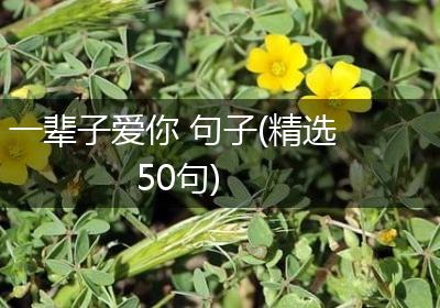 一辈子爱你 句子(精选50句)