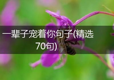 一辈子宠着你句子(精选70句)