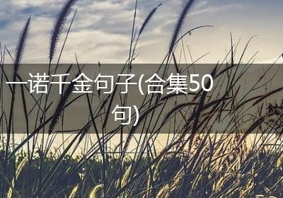一诺千金句子(合集50句)