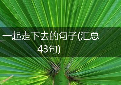 一起走下去的句子(汇总43句)