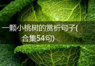 一颗小桃树的赏析句子(合集54句)