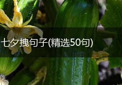 七夕拽句子(精选50句)