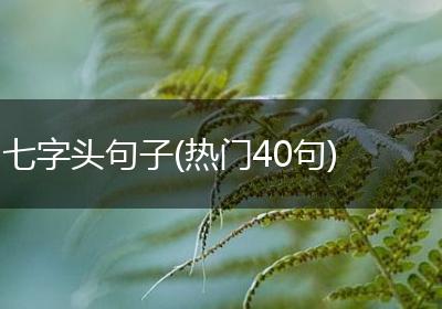七字头句子(热门40句)
