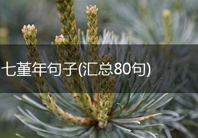 七堇年句子(汇总80句)