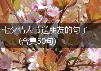 七夕情人节送朋友的句子(合集50句)