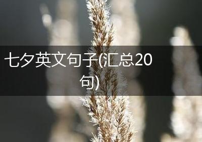 七夕英文句子(汇总20句)