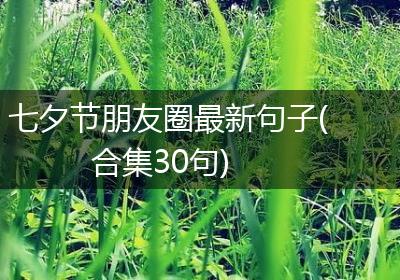 七夕节朋友圈最新句子(合集30句)