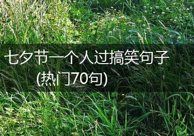 七夕节一个人过搞笑句子(热门70句)