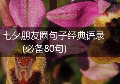 七夕朋友圈句子经典语录(必备80句)