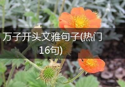 万子开头文雅句子(热门16句)