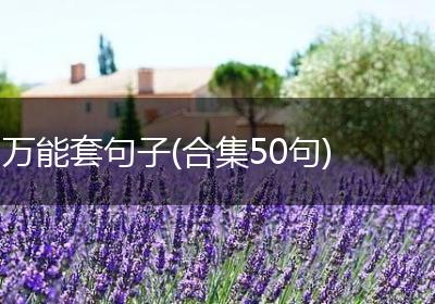 万能套句子(合集50句)