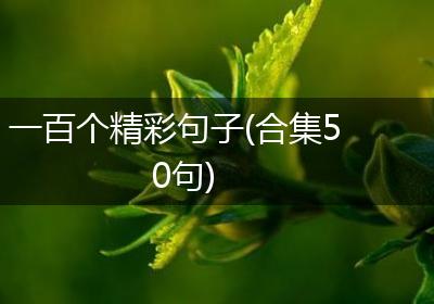 一百个精彩句子(合集50句)