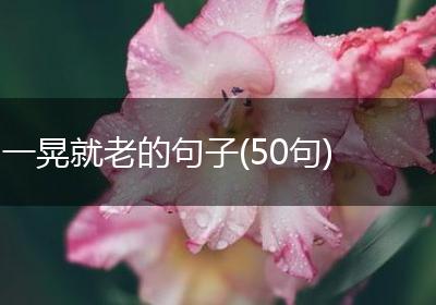 一晃就老的句子(50句)