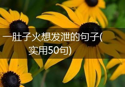 一肚子火想发泄的句子(实用50句)