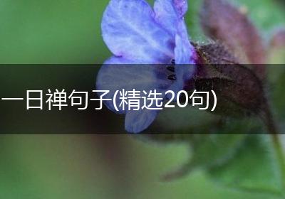 一日禅句子(精选20句)