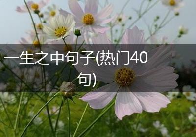 一生之中句子(热门40句)