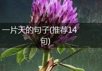 一片天的句子(推荐14句)