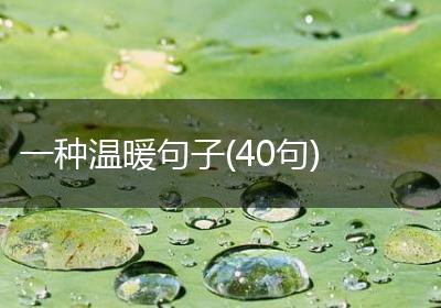 一种温暖句子(40句)