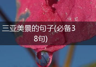 三亚美景的句子(必备38句)