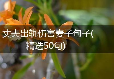 丈夫出轨伤害妻子句子(精选50句)