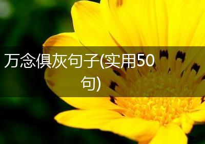 万念俱灰句子(实用50句)