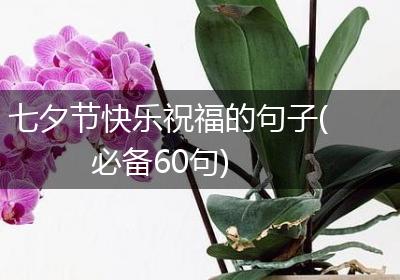 七夕节快乐祝福的句子(必备60句)