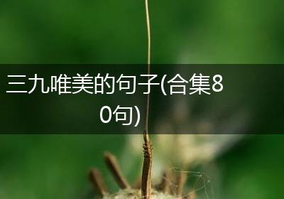 三九唯美的句子(合集80句)