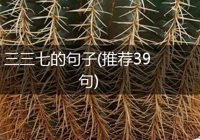 三三七的句子(推荐39句)