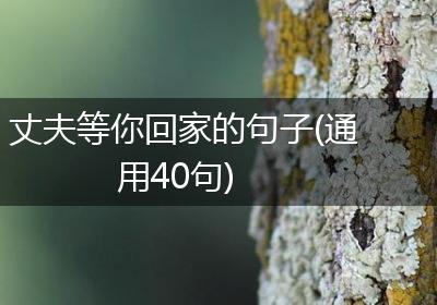 丈夫等你回家的句子(通用40句)