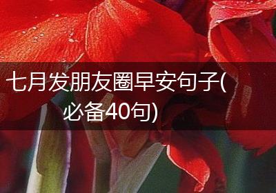 七月发朋友圈早安句子(必备40句)