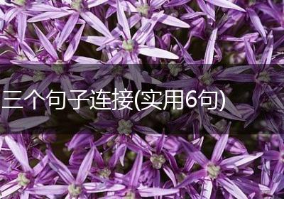 三个句子连接(实用6句)