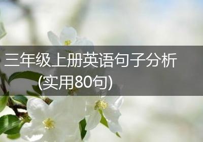 三年级上册英语句子分析(实用80句)