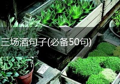三场酒句子(必备50句)