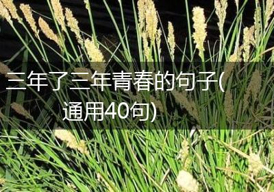 三年了三年青春的句子(通用40句)