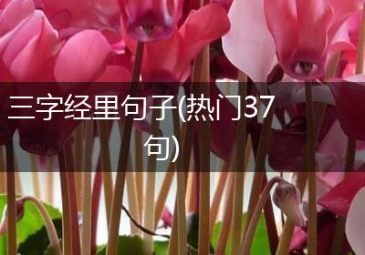 三字经里句子(热门37句)