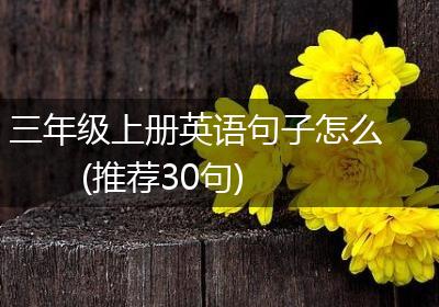 三年级上册英语句子怎么(推荐30句)