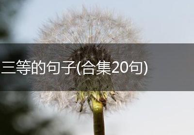 三等的句子(合集20句)